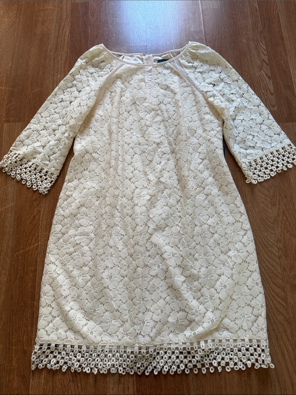 Adrianna Papell Cream Lace Midi Dress with Crochet Trim
